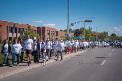 Sensibilizzare, far conoscere, curare