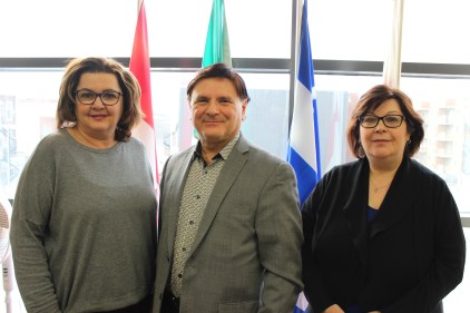 Trovare risposte alle domande