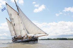 Un fiume in salute? Dipende da noi