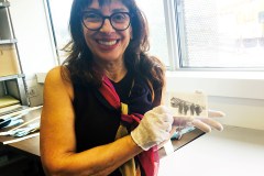 80º anniversario dell’internamento degli italo-canadesi durante la Seconda guerra mondiale