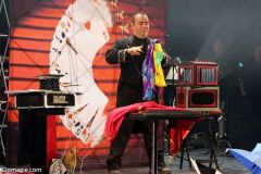 Una passione chiamata magia