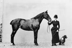 Tra cavalli, illustrazioni, Dante e … quel che resta!