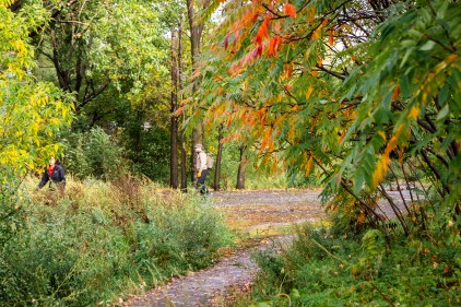 Ammirare i colori dell’autunno nei parchi di Montréal