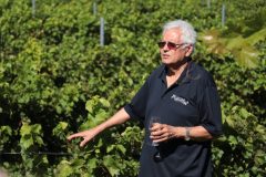 Un bicchiere di vino in memoria di Alfonso Gagliano