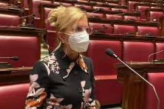 Nissoli: «Una adeguata informazione in vista delle elezioni dei Comites»