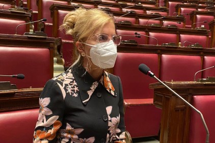 Nissoli: «Una adeguata informazione in vista delle elezioni dei Comites»