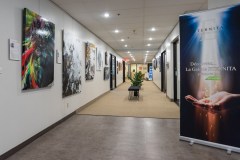 L’arte come un mezzo per celebrare una vita