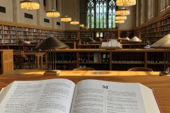 Ciò che occorre sapere per meglio tutelarsi: la procura bancaria