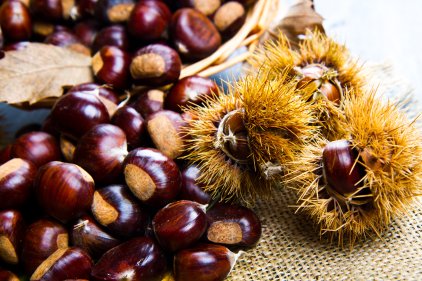 Alla riscoperta delle castagne, un frutto pieno di storia sulle nostre tavole