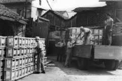 MAPEI: da 85 anni guardando al futuro