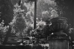 “Nei Giardini Incantati”, le foto di Joseph Brown al Centro Leonardo da Vinci