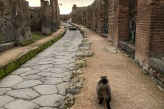 Turismo delle radici: Pompei, tra gli scavi della città campana