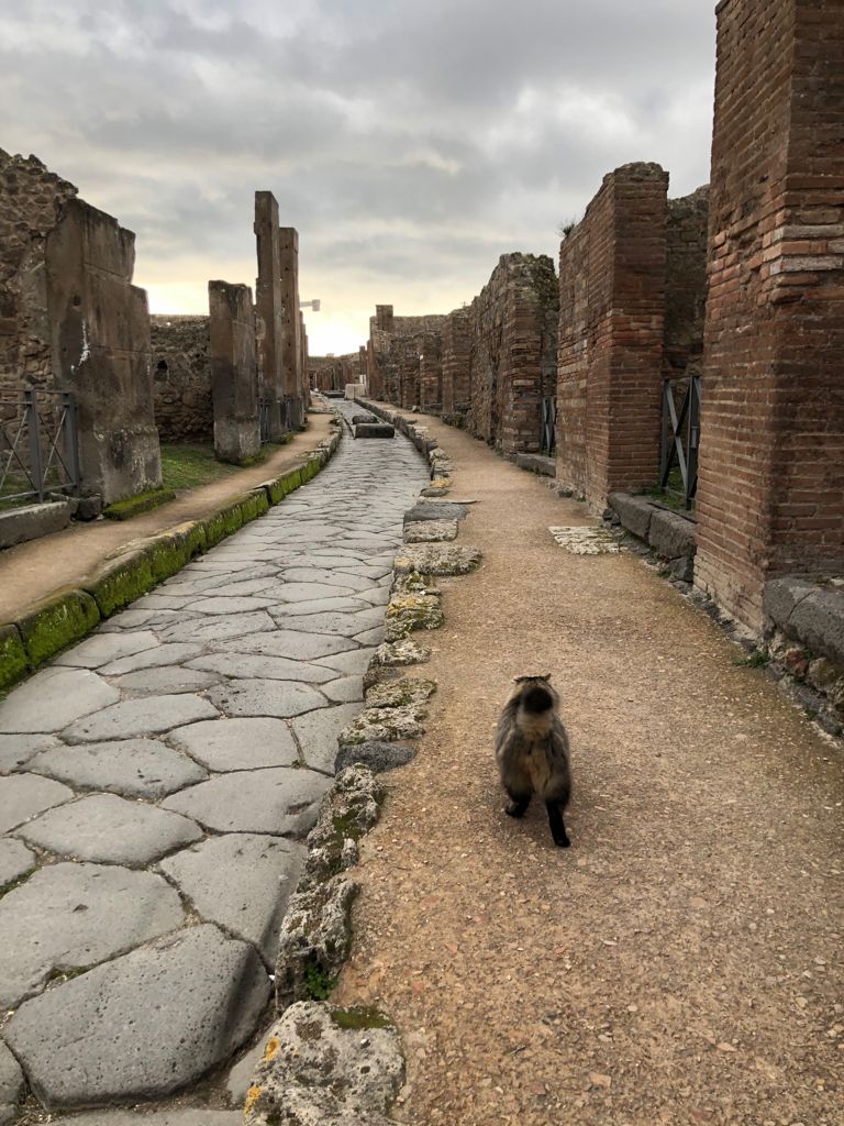 Turismo delle radici: Pompei, tra gli scavi della città campana