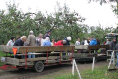 La bella festa dell’Ordine Figli d’Italia